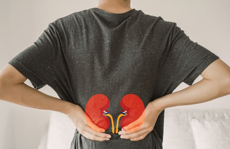 Kidney health support TCM in Flushing NY